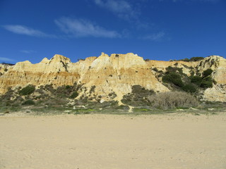 Wall Mural - Donana National Park