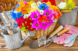  Gardening -  flowers and tools