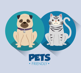 Canvas Print - dogs and cats pets friendly vector illustration design