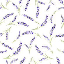 Seamless Lavender Flowers Pattern On White Background.
