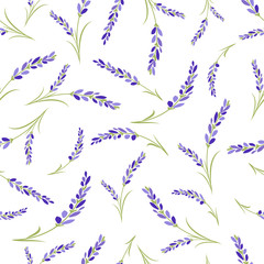 Seamless lavender flowers pattern on white background.