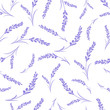 Seamless lavender flowers pattern on white background.