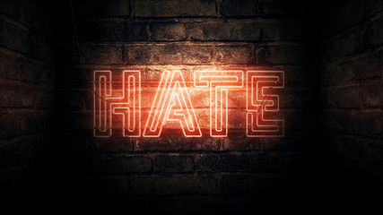 Wall Mural - Hate Neon Sign