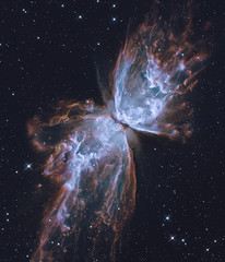 Wall Mural - the butterfly nebula. elements of this image furnished by nasa. retouched image.