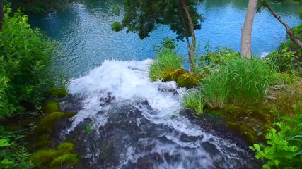 Wall Mural - A stream of water flowing over rocks of a small creek in Krka National Park in Croatia