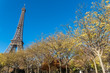 Paris, Eiffel tower in autumn, panorama from the Champ de Mars 
