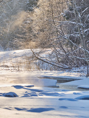 Wall Mural - river in the forest. winter