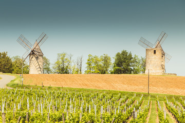 old windmill behind vines near Saint Emilion in France