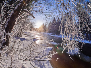 Wall Mural - river in the forest. winter