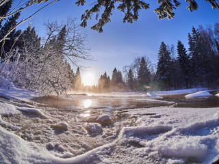 Wall Mural - river in the forest. winter