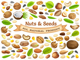 Wall Mural - Poster seeds sunflower, pumpkin, and corn. Nuts cashew, brazilian nut, coconut, cedar, hazelnut, cashew, almonds, walnut, nutmeg, pecan, peanut, macadamia, pistachio.