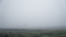 Landscape Of Dense Fog In The Field And Silhouette Of Trees In Warm Winter