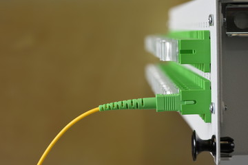 optical distribution panel with connected patch cord cable