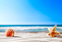 Summer Beach And Shells With Blurred Blue Sea And Sky 