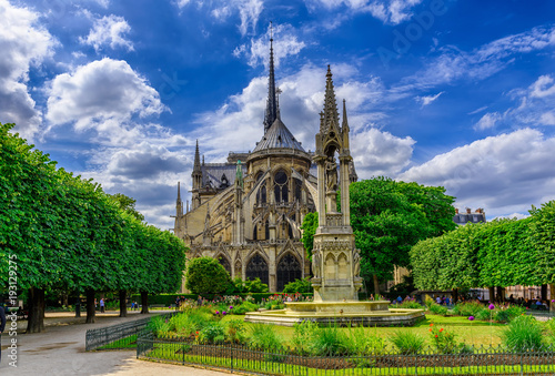 Obraz Dibond Katedra Notre Dame de Paris i Plac Jean XXIII w Paryżu, Francja