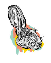 Rabbit Head Isolated With Graphic Elements