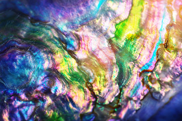 Wall Mural - high magnification macro of pearl shell. colourful nature background.