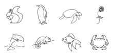 Collection Of One Line Logos Or Icons. Includes Squirrel Pinguin Turtle Rose Dolphin Chameleon Fish And Crab Minimalistic Illustartions