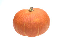 Giants Pumpkin Isolated On White Background