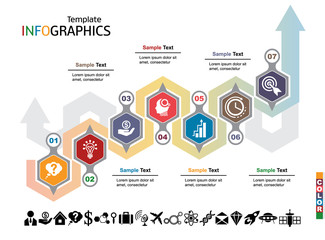 Wall Mural - infographics business template elements