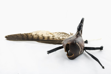 cap falconry feather eagle white background