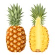 Illustration of pineapple