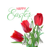 Fototapeta Tulipany - Happy Easter card