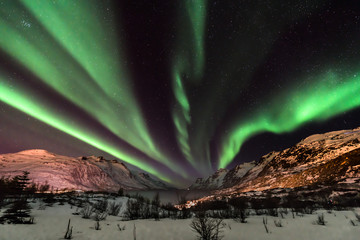 Wall Mural - Aurora Borealis (northern lights) in North Norway - Tromso, Kvaloya, Ersfjordbotn
