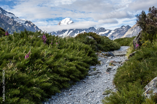 Fotografie, Obraz Trail toward Mt Cook, highest peak in New Zealand