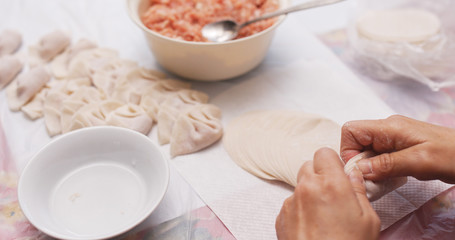 Canvas Print - Making of meat dumpling at home