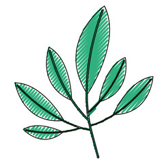 Poster - leafs plant ecology icon vector illustration design