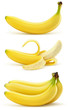 Bananes vectorielles 4