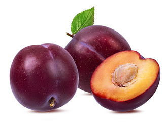 Wall Mural - plum on a white background