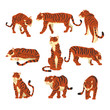 Powerful tiger in different actions set of cartoon vector Illustrations on a white background