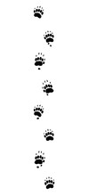 Badger Tracks. Typical Footprints With Long Claws - Isolated Black Icon Vector Illustration On White Background.