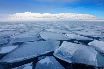 Ice in ocean. Iceberg twilight in North pole. Beautiful landscape. Night ocean with ice. Clear blue sky. Land of ice. Winter Arctic. White snowy mountain, blue glacier Svalbard, Norway.