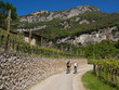 Radfahrer radeln durch Weingebiet am Gardasee, Italien
