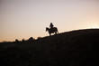 © KarlJohan - Cowboy on a horse in North Dakota, USA
