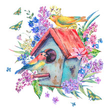 Watercolor Illustration With Birdhouse And Birds