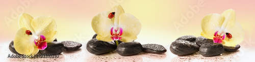 Dekoracja na wymiar  zolte-orchidee-i-kamyki-z-biedronka-obraz-panoramiczny