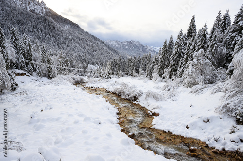 Plakat torrent Canali zimą - Val Canali, w parku przyrody Paneveggio - Trentino