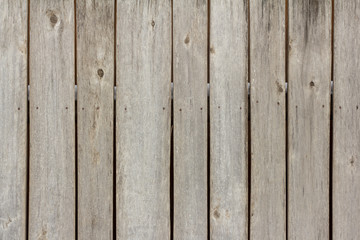 Wall Mural - background of old wooden planks,grey wooden fence