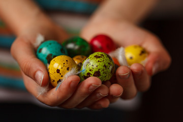 Wall Mural - Child's hands holding colored quail eggs on pink background. Easter Spring holiday concept