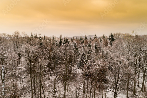 Plakat zimowy krajobraz