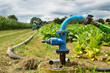 © jpr03 - Agricultural irrigation system with a well of water, for the cultivation of corn and beet during the summer.