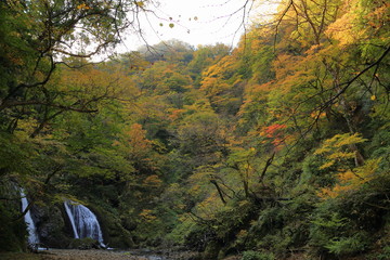 Wall Mural - 秋の十二滝　Junitaki(Twelve Falls) in autumn / Sakata, yamagata, Japan