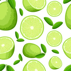  Seamless pattern of lime and slices of limes. Vector illustration of limes. Vector illustration for decorative poster, emblem natural product, farmers market. Website page and mobile app design
