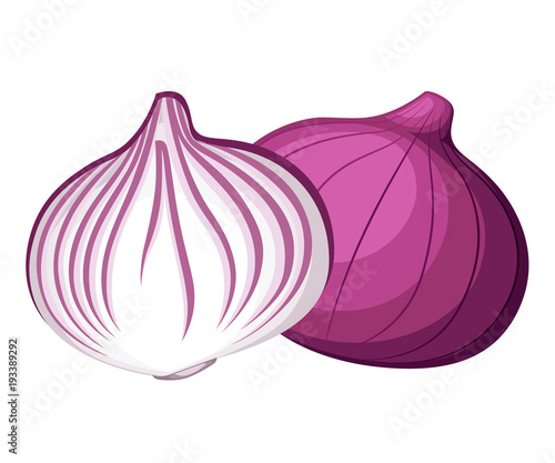 Fotografía Fresh red onion and piece of onion vegetable from the garden organic food vector