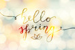 © redcollegiya - hello spring, vector lettering and flower, spring card with handwritten text