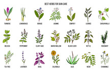 Collection Of Best Herbs For Skin Care